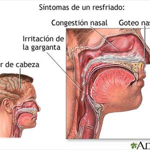 Mucolytic Drainage Remedy - Finding Great Sinus An Infection Residence Remedies