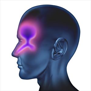 Guaranteed Cure Sinusitis - A Guide To Antibiotic For Chronic Sinus Infection
