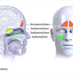 Sinus Allergies Difficulty Swallowing - Nasal Irrigation For Symptom Relief