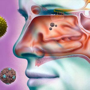 What Could Cause Pain In Your Sinuses - The General View And Medical Explanation Of Bronchiectasis